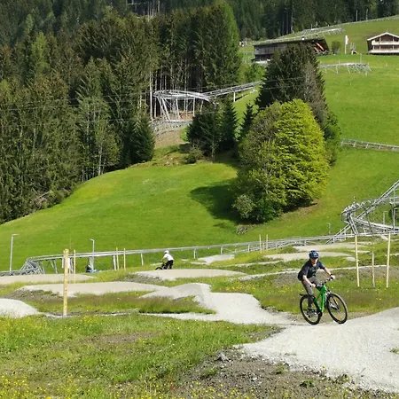 Iris-5 By Interhome 3* Auffach