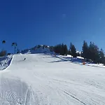 Iris-5 By Interhome Auffach